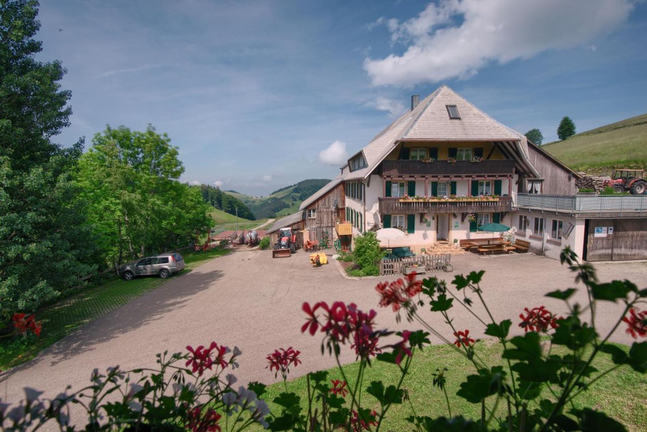 Апартаменты Mittlerer Itzenwaldhof - Heimkehr Мюнстерталь Экстерьер фото