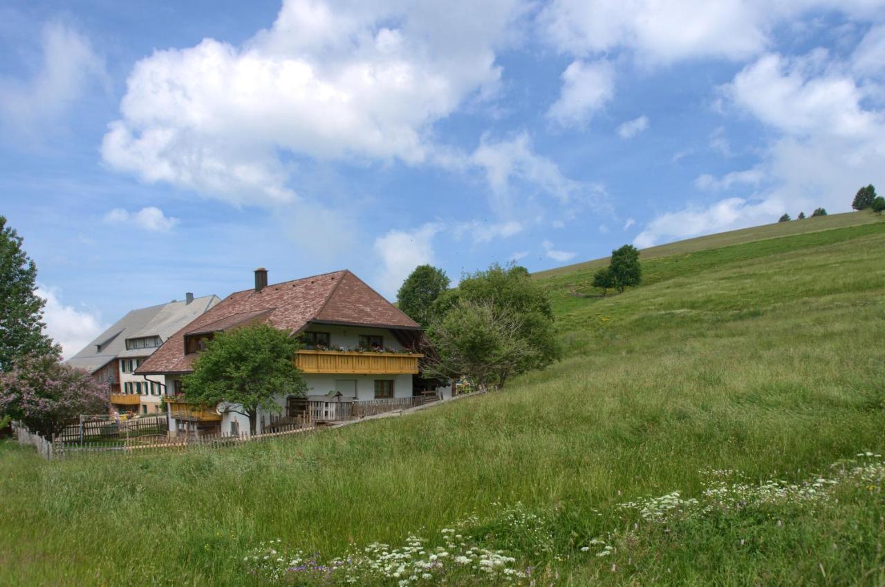 Апартаменты Mittlerer Itzenwaldhof - Heimkehr Мюнстерталь Экстерьер фото